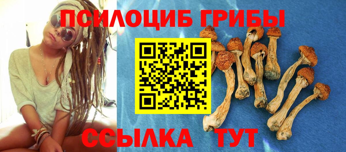 Галлюциногенные грибы Psilocybe  Вход с VPN  Галлюциногенные грибы прущие грибы  Спасск-Дальний 